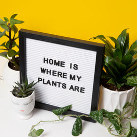 Shop All Plants
